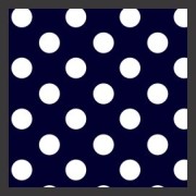 NavyWhitePD