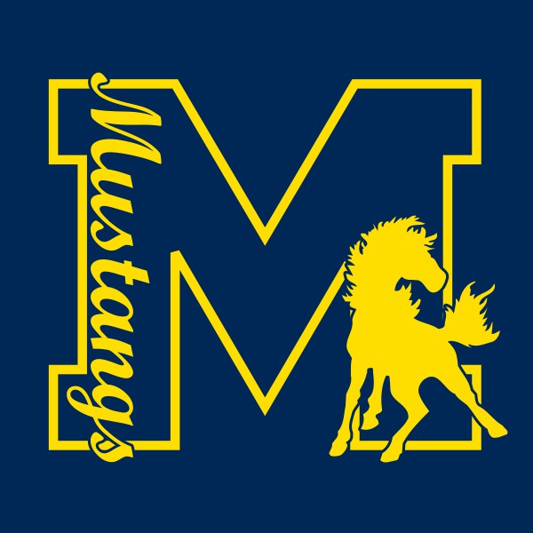 FordHeightsSD169(25)1